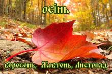 Осінь: вересень, жовтень, листопад