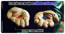 Если бы ты выбрал синюю таблетку, поставь лайк!