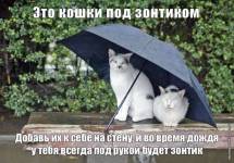Это кошки под зонтиком